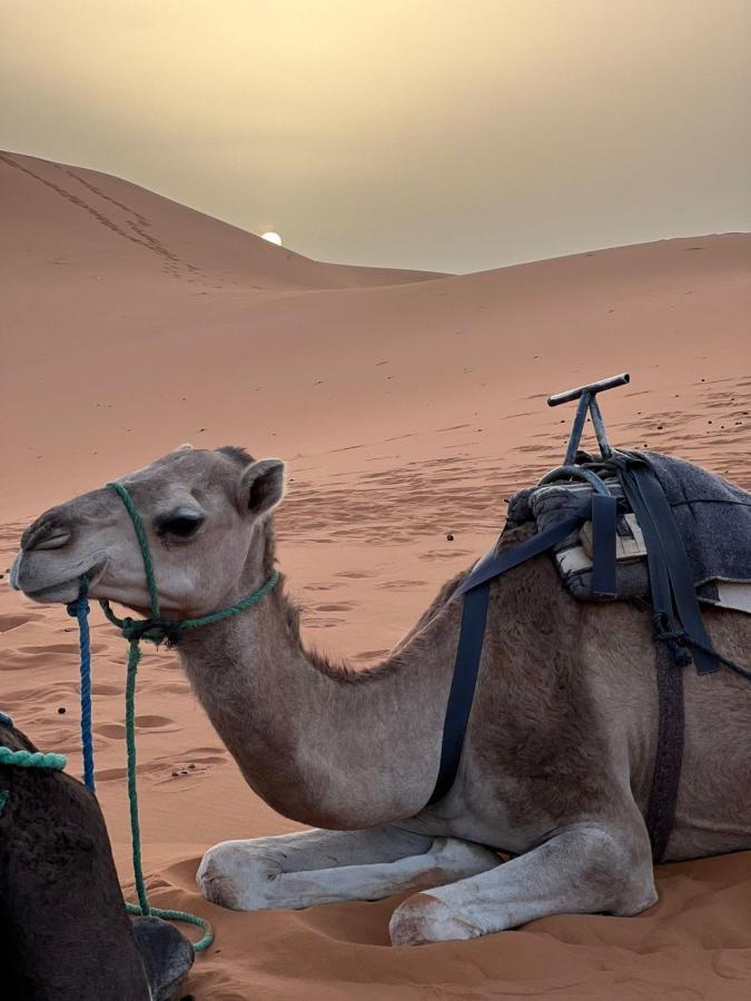 Riad Aicha & Camel Trekking Merzouga Dış mekan fotoğraf