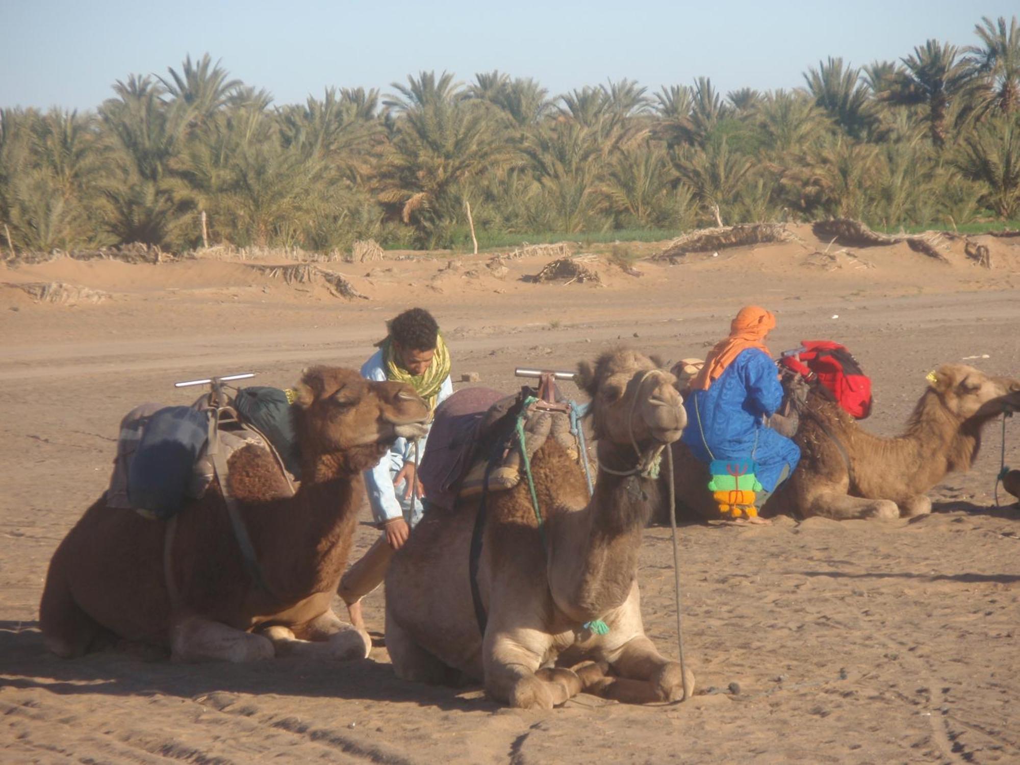 Riad Aicha & Camel Trekking Merzouga Dış mekan fotoğraf
