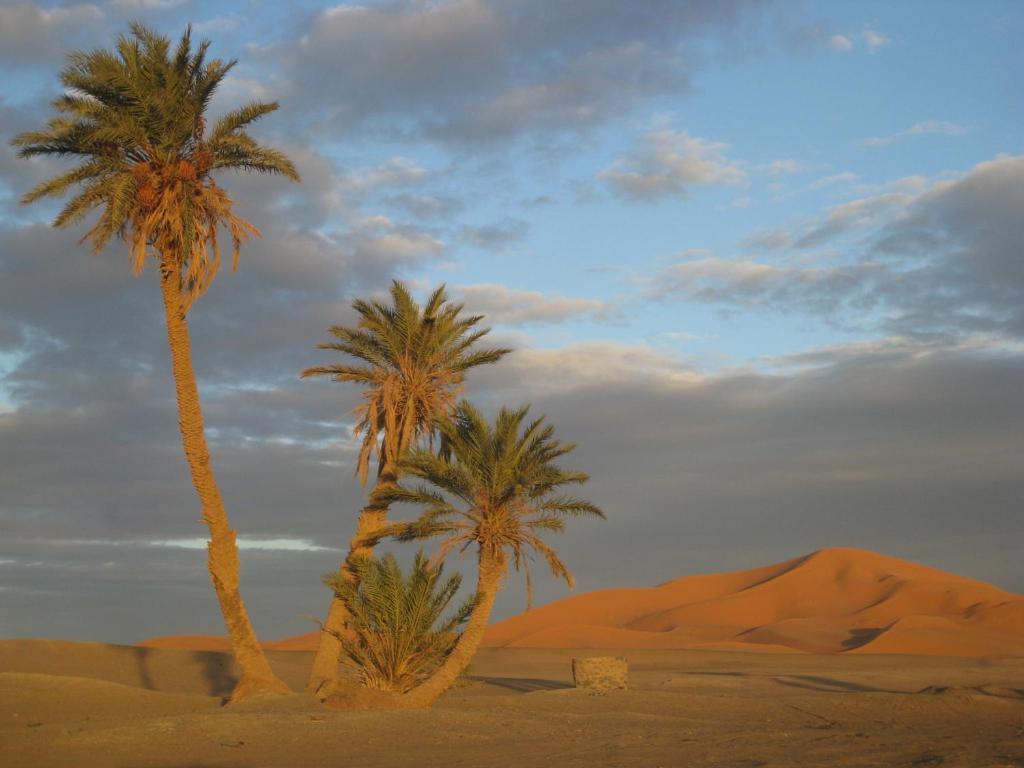 Riad Aicha & Camel Trekking Merzouga Dış mekan fotoğraf